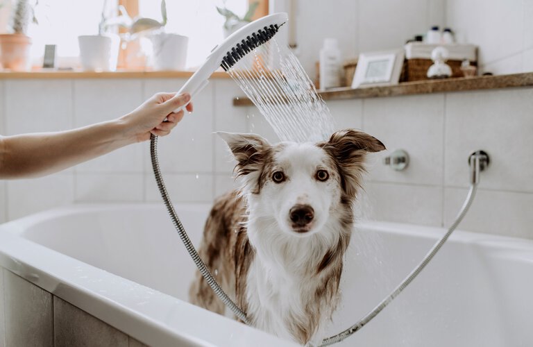 3D printed dogshower by Hansgrohe 